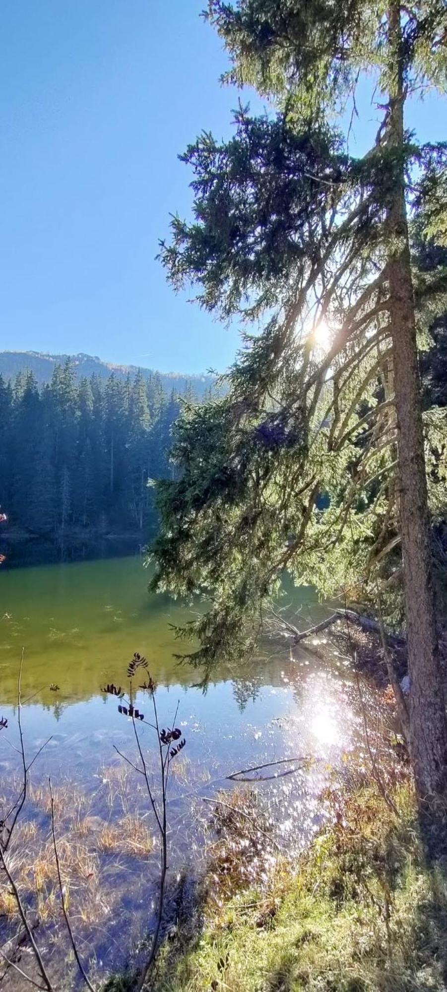 Vikendica Aleksandra Žabljak Buitenkant foto