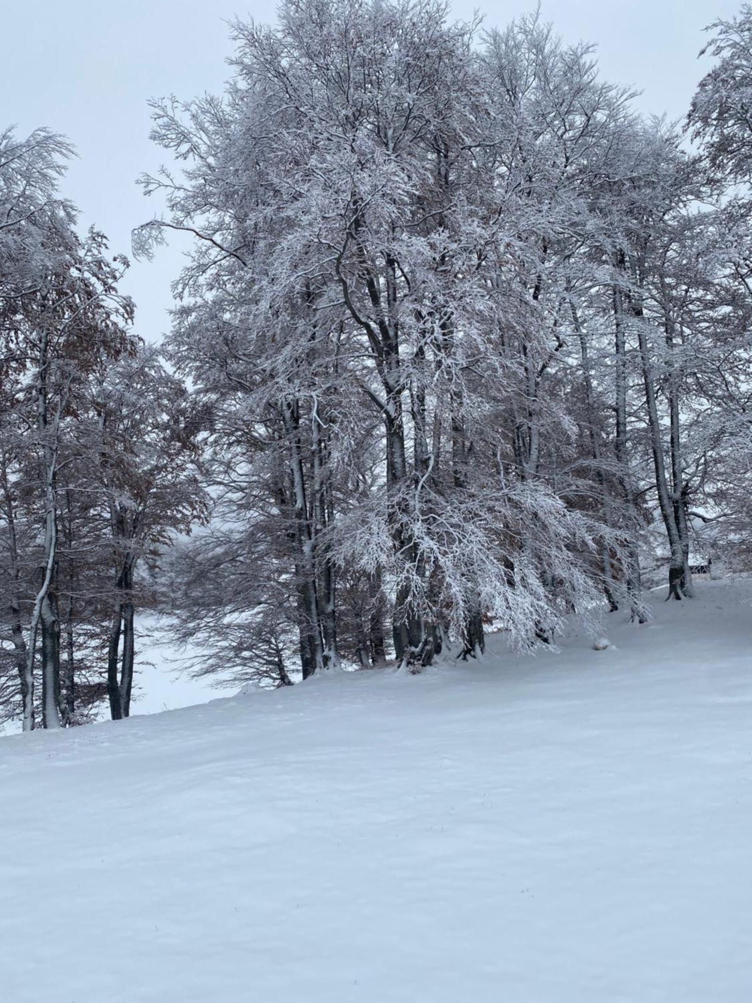 Vikendica Aleksandra Žabljak Buitenkant foto